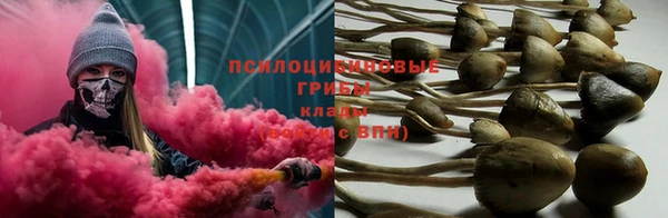 PSILOCYBIN Алексин
