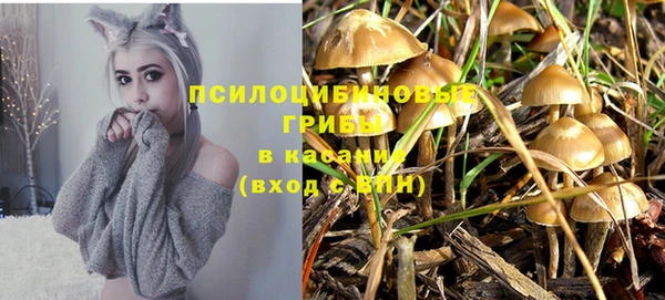 mdpv Алзамай