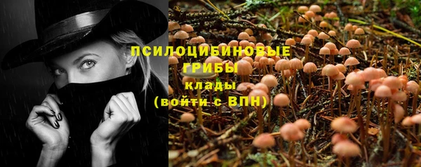 mdpv Алзамай