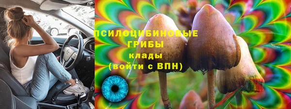 mdpv Алзамай