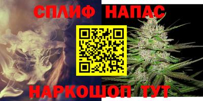 стафф Краснодар