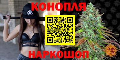 стафф Краснодар