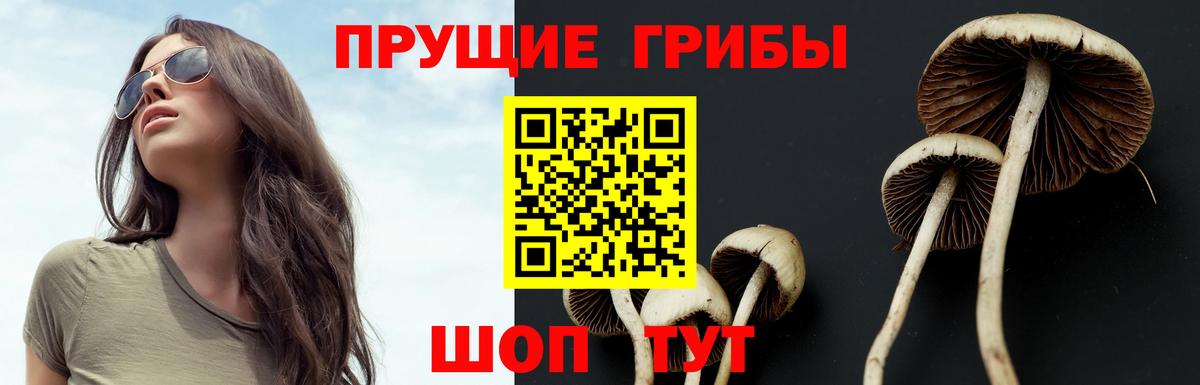 Псилоцибиновые грибы Cubensis  Галлюциногенные грибы Psilocybe  Вход с VPN  Кировск 